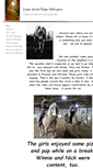 Mobile Screenshot of cedarbrookridgehaflingers.com