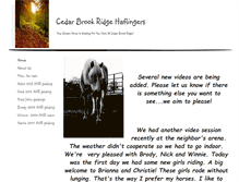 Tablet Screenshot of cedarbrookridgehaflingers.com